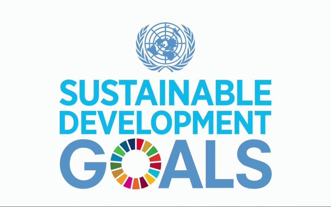 CSR and Sustainable Development Goals