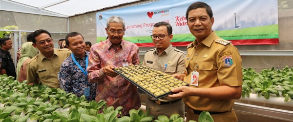 Launching of Hydroponic farm PT Bank DKI