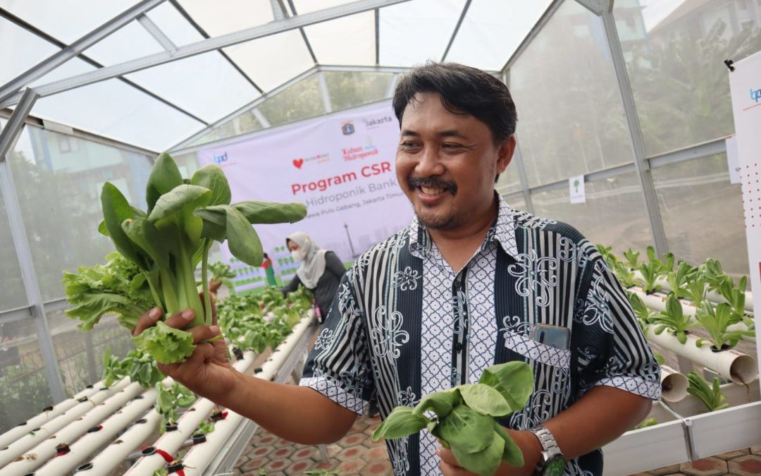 THE HYDROPONIC GARDEN OF BANK DKI IMPROVES THE WELFARE OF RUSUNAWA RESIDENTS.