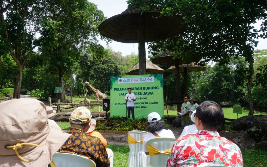 PERINGATI HCPSN, FILANTRA BERKONTRIBUSI DALAM PELEPASLIARAN JALAK SUREN JAWA