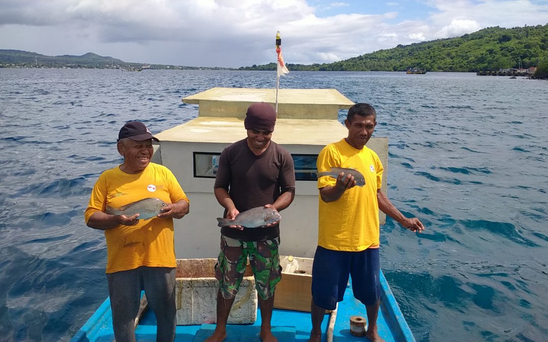 PELNI Cetak Marine-preneur lewat Rumah Kelola Ikan