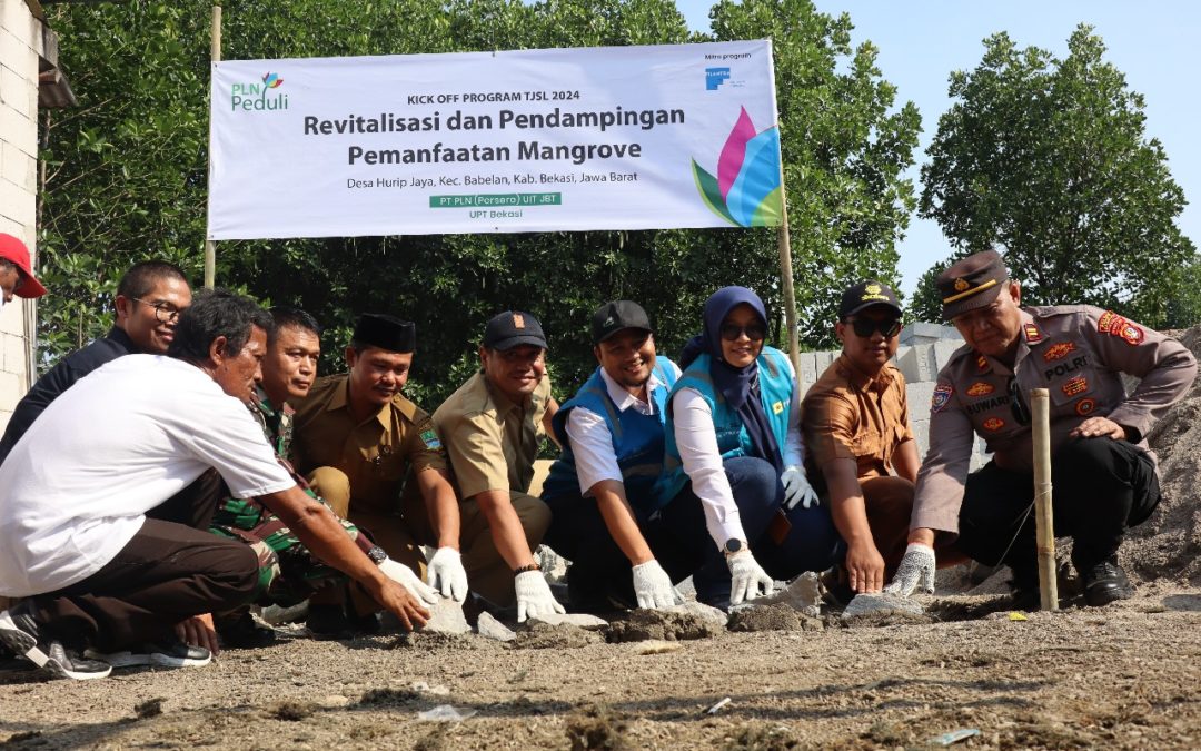 PLN UIT JBT Dorong Pemanfaatan Berkelanjutan melalui Revitalisasi Mangrove di Bekasi